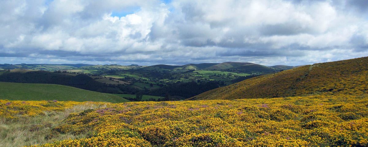 Landscape view of rolling hills in Wales