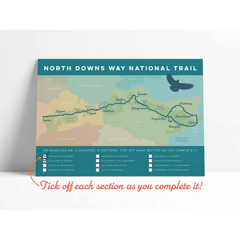 North Downs Way Art Print