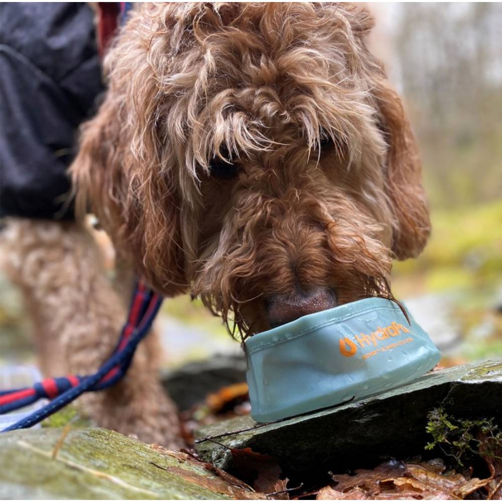 HydraPak Rover dog bowl - the Trails Shop