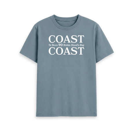 Stone Blue Printed T-shirt Front