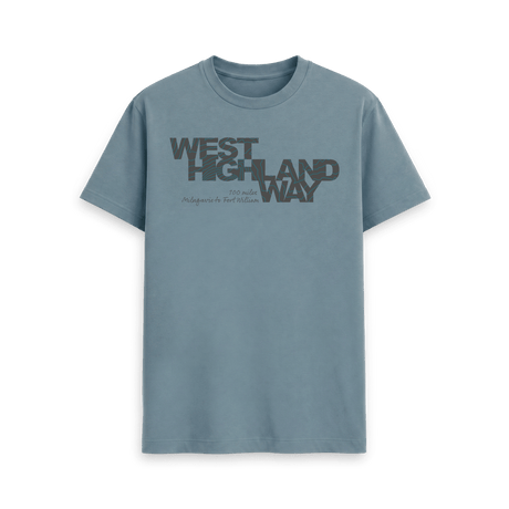 Stone Blue Printed T-shirt Front