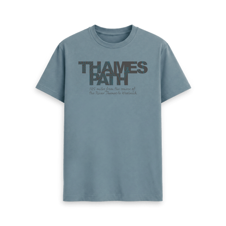 Stone Blue Printed T-shirt Front
