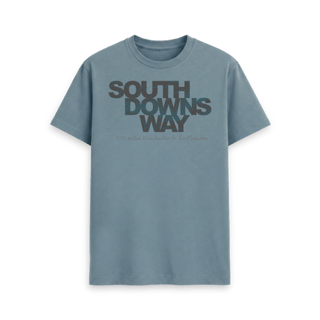 Stone Blue Printed T-shirt Front