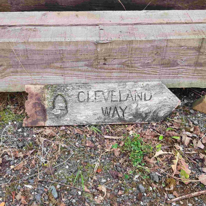 Wooden sign pointing to 'Cleveland Way' on a natural ground surface.