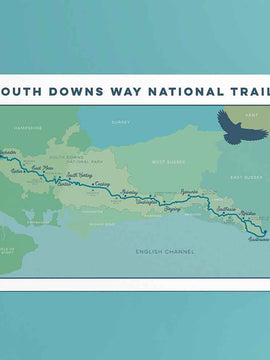 South Downs Way Art Print