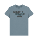 Stone Blue Printed T-shirt Front