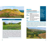 15 Short Walks in the Lake District Windermere Ambleside & Grasmere Loughrigg walk description