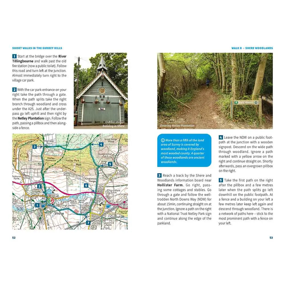 15 Short Walks in the Surrey Hills Shere Woodlands walk
