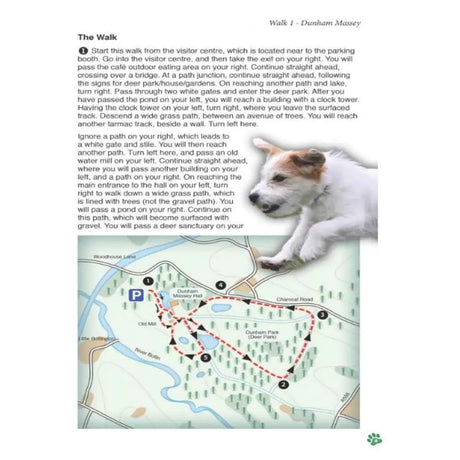Countryside Dog Walks - Greater Manchester-The Trails Shop
