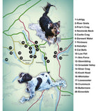 Countryside Dog Walks - Lake District North-The Trails Shop