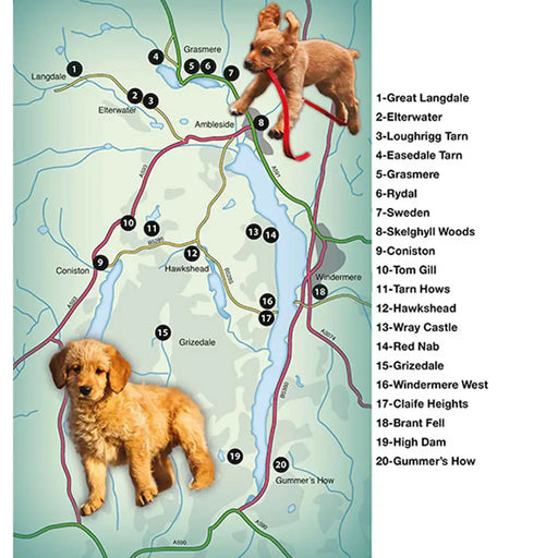 Countryside Dog Walks - Lake District South-The Trails Shop