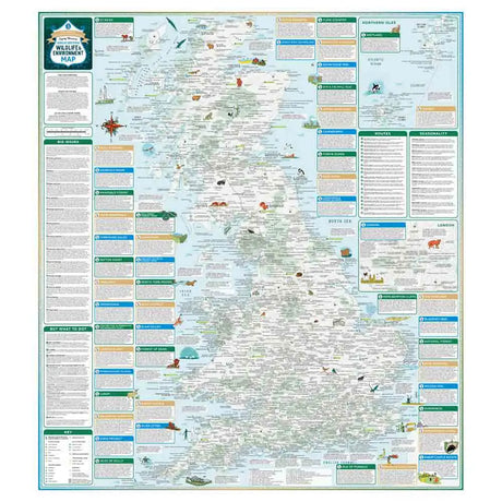 ST&G’s Eagerly Beavered Great British Wildlife