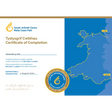 Wales Coast Path Completion Certificate-Wales Coast Path-The Trails Shop