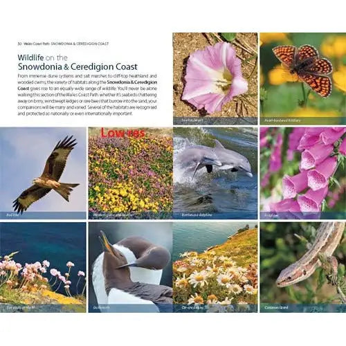 Wales Coast Path Snowdonia Ceredigion Coast - Internal Page 2 - The Trails Shop