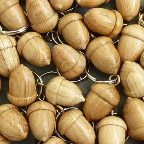 Acorn keyring-The Trails Shop